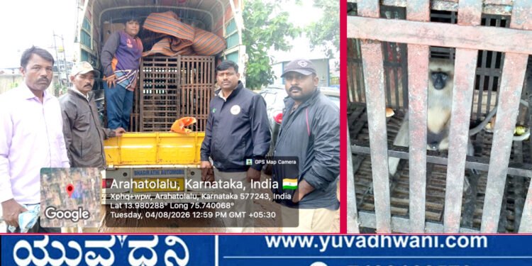 ಹೊಳೆಹೊನ್ನೂರು, ಜನರ ನಿದ್ದೆಗೆಡಿಸಿದ್ದ ಕೋತಿ (ಮುಷ್ಯ) ಸೆರೆ