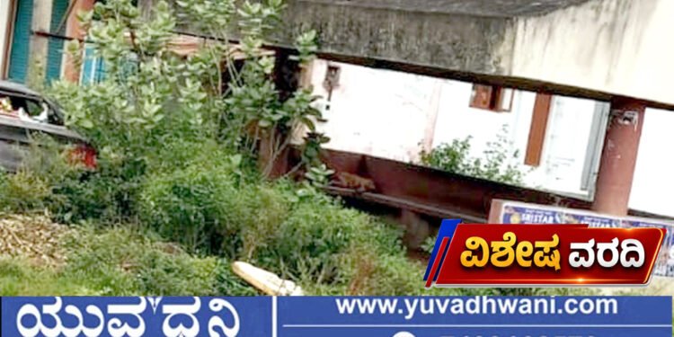ಶಿವಮೊಗ್ಗ, ತಿಪ್ಪೆಗುಂಡಿಯಾದ ಸೋಮಿನಕೊಪ್ಪ ಲಾಸ್ಟ್ ಬಸ್ಸ್ಟಾಪ್, ಗಮನ ಹರಿಸುವರೇ ಅಧಿಕಾರಿಗಳು?