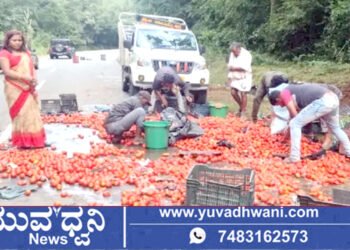 ಟೆಂಪೋ ಪಲ್ಟಿ, ರಸ್ತೆ ತುಂಬಾ ಚೆಲ್ಲಾಪಿಲ್ಲಿಯಾದ ಟೊಮೆಟೊ!