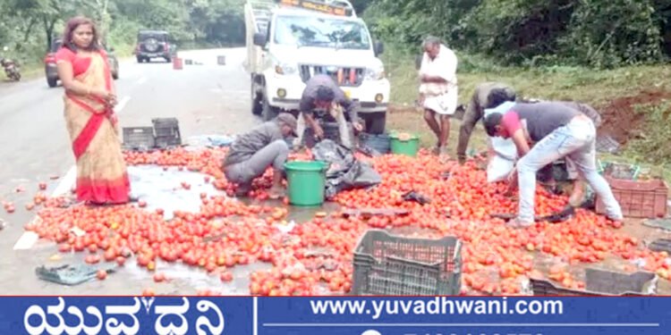 ಟೆಂಪೋ ಪಲ್ಟಿ, ರಸ್ತೆ ತುಂಬಾ ಚೆಲ್ಲಾಪಿಲ್ಲಿಯಾದ ಟೊಮೆಟೊ!
