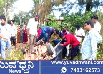 ಅಡ್ಡ ಬಂದ ಹಾವು, ನಿಯಂತ್ರಣ ತಪ್ಪಿ ಚರಂಡಿಗೆ ಪಲ್ಟಿಯಾದ ಕಾರು!