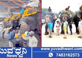 ಶಿವಮೊಗ್ಗ ದಸರಾ, ಗಜಪಡೆಗೆ ಭರ್ಜರಿ ಸ್ವಾಗತ, ಆನೆಗಳಿಗೆ ತಾಲೀಮು ಹೇಗಿತ್ತು.?