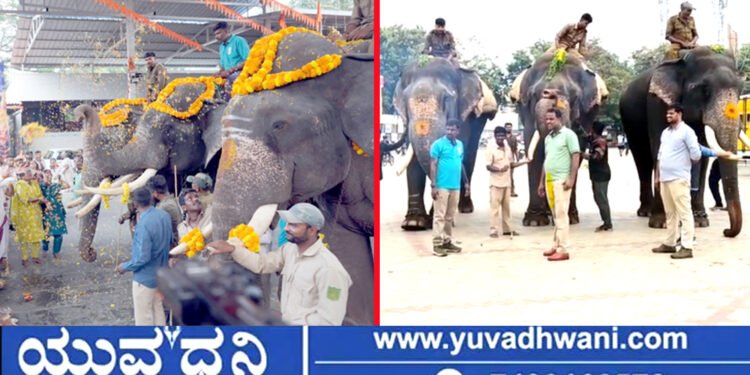 ಶಿವಮೊಗ್ಗ ದಸರಾ, ಗಜಪಡೆಗೆ ಭರ್ಜರಿ ಸ್ವಾಗತ, ಆನೆಗಳಿಗೆ ತಾಲೀಮು ಹೇಗಿತ್ತು.?