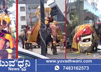 ಶಿವಮೊಗ್ಗ ದಸರಾ, ಆನೆಗಳ ಗುದ್ದಾಟ!, ಕೆಳಗೆ ಬಿದ್ದ ಅಂಬಾರಿ,  ಮೆರವಣಿಗೆ ಈಗ ಸ್ಥಗಿತ!